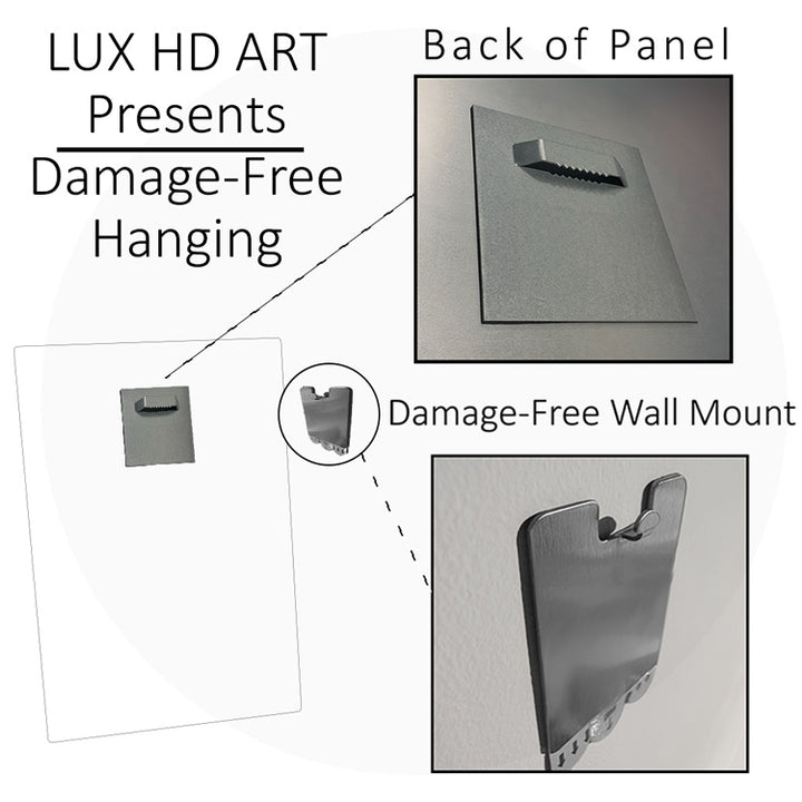 Damage-Free Hanging ClariDepth™ Photo Panels